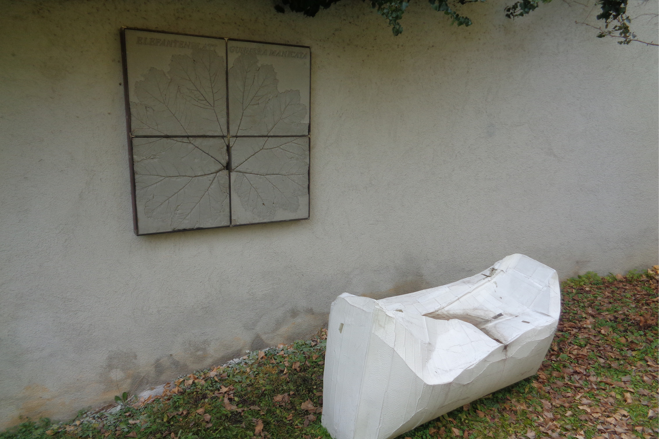 s-elefantenblatt-sandbichler-2