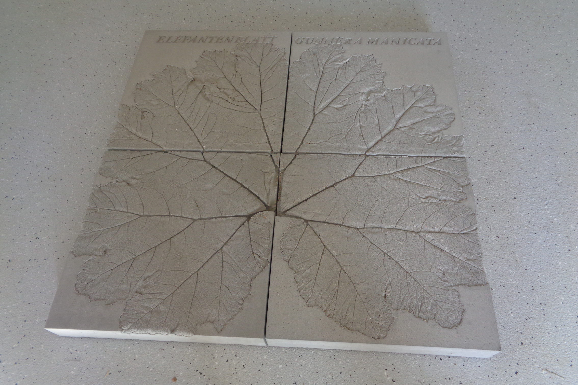 s-elefantenblatt-sandbichler-3